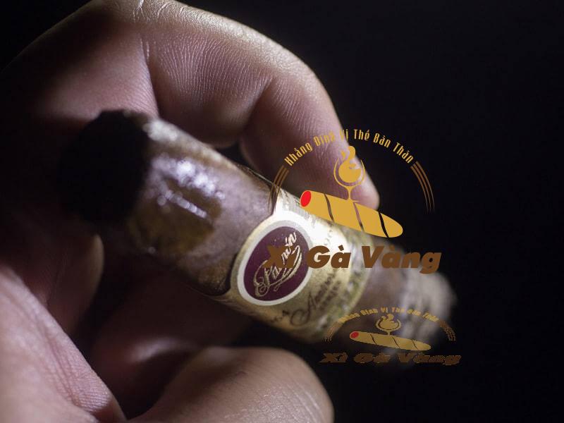 Xuất xứ của Padron Thompson 100th Robusto từ thương hiệu Padron và Thompson